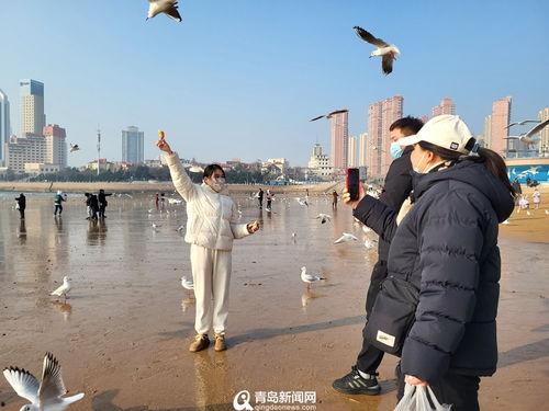 青岛爆料最新新闻事件,惊现神秘事件引发社会关注 第2张 青岛爆料最新新闻事件,惊现神秘事件引发社会关注 第2张